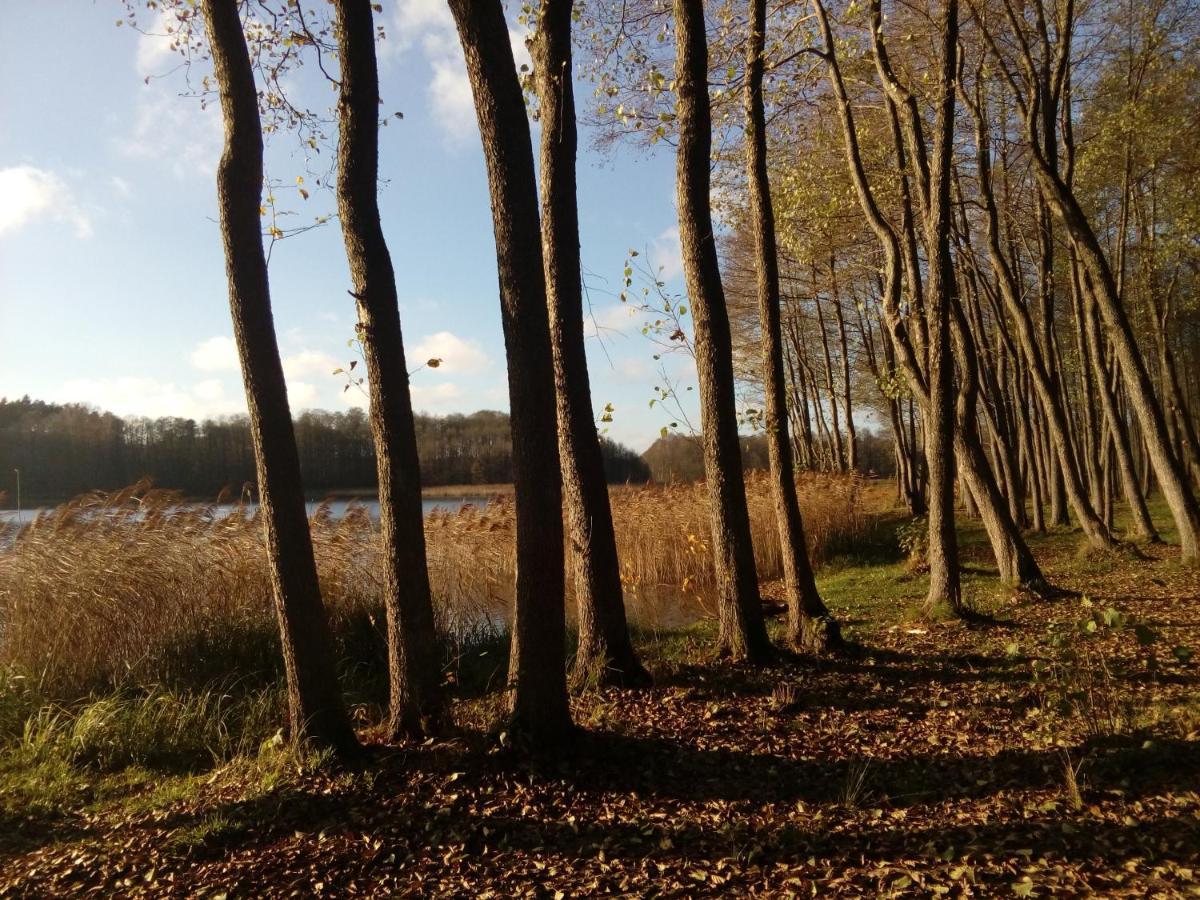 Domki Wczasowe Mazury - Ferienhaus Masuren - Do 12 Osob - Idealny Dla Grup Dluzek Exteriér fotografie